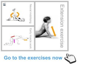 gotothebackpainexercises