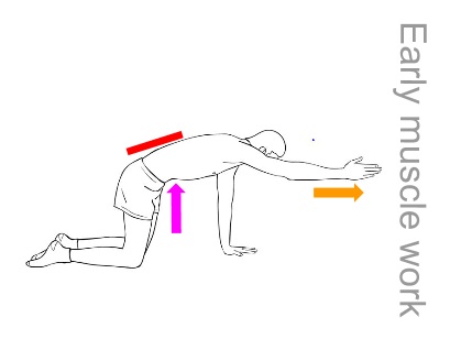 early-muscle-work