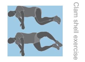 clam_shell_exercise