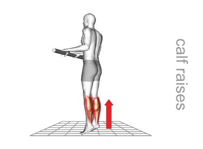 Heel Risers Exercise heel raise exercise | the good exercise guide