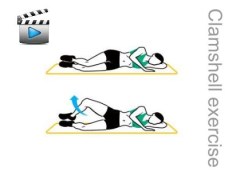 clamshell_exercise